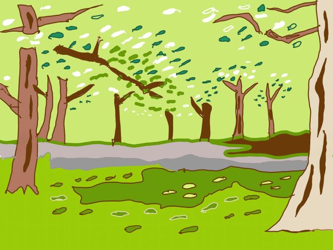 27709927_10155550020306936_8556715527685302725_o[1]